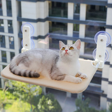 Petifuls Hammock